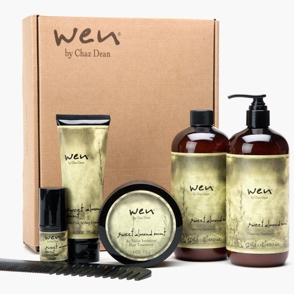 wen hair care products