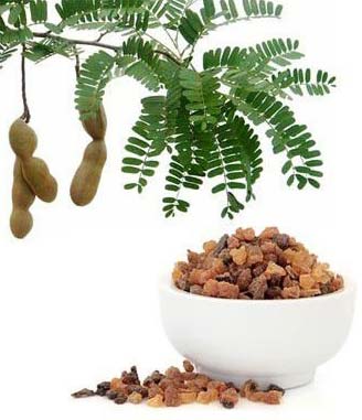 Commiphora Mukul Resin Extract